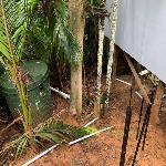 Gallery Image 18